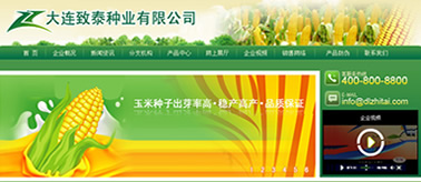 大連致泰種業(yè)有限公司